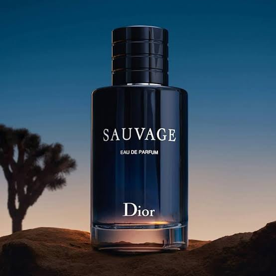 Review do Perfume Sauvage Dior Resenha - Helixir Parfums