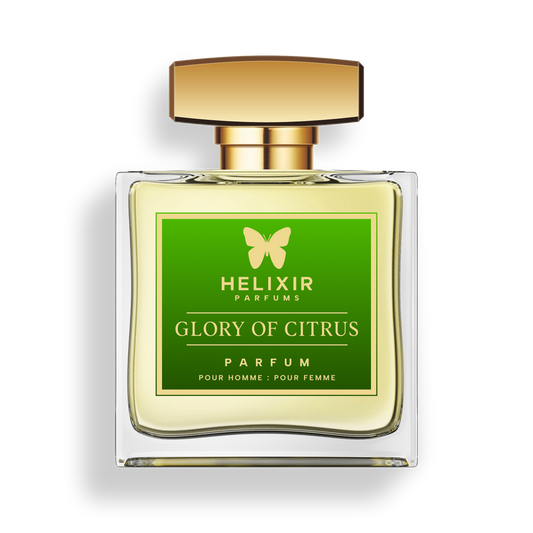 Glory Of Citrus - Inspiração Olfativa: Renaissance Xerjoff